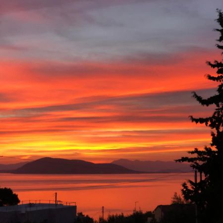 Cozy Sunset House Villa Aegina Екстериор снимка